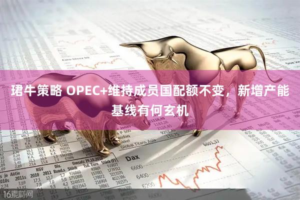 珺牛策略 OPEC+维持成员国配额不变，新增产能基线有何玄机