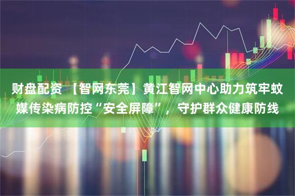 财盘配资 【智网东莞】黄江智网中心助力筑牢蚊媒传染病防控“安全屏障”，守护群众健康防线
