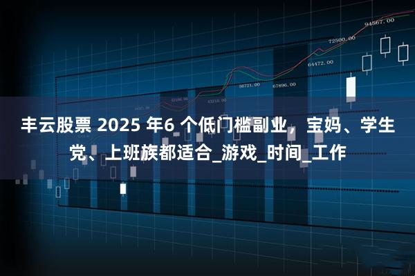 丰云股票 2025 年6 个低门槛副业，宝妈、学生党、上班族都适合_游戏_时间_工作