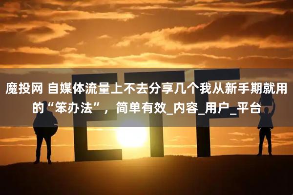 魔投网 自媒体流量上不去分享几个我从新手期就用的“笨办法”，简单有效_内容_用户_平台