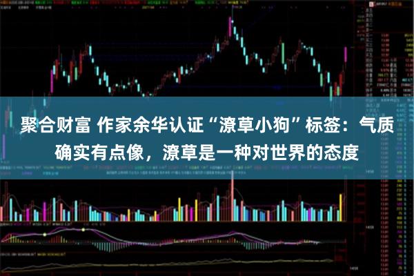 聚合财富 作家余华认证“潦草小狗”标签：气质确实有点像，潦草是一种对世界的态度