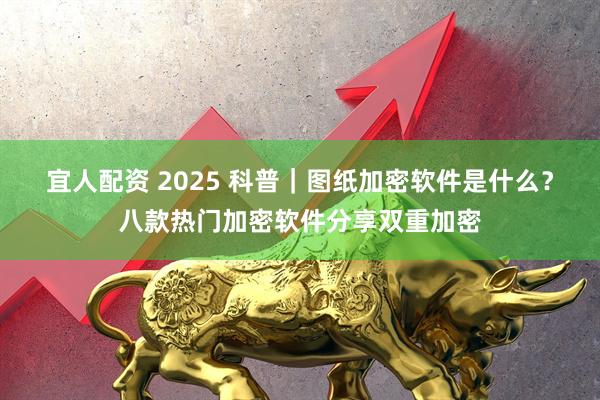 宜人配资 2025 科普｜图纸加密软件是什么？八款热门加密软件分享双重加密