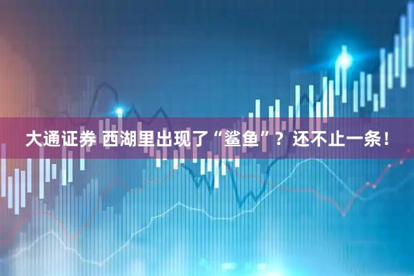 大通证券 西湖里出现了“鲨鱼”？还不止一条！